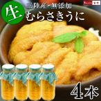 生うに 瓶詰め 三陸 岩手県産 無添加 生ウニ 牛乳瓶詰め 150g×4本 牛乳瓶入り 塩水漬け むらさきうに ムラサキウニ 同梱不可 指定日不可