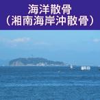  море .... южные моря .. Kanagawa префектура .. представительство море .. мука .