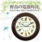 野鳥の電波時計 掛け時計 安眠機能 直径40cm 大型 レトロ 壁掛け時計 インテリア 静音 癒し 小鳥のさえずり Bird Clock メーカー直送につき代引き不可