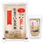  неочищенный рис злаки .. . комплект (.... Blend 500g + сырой .... неочищенный рис 5kg). мир 7 год производство 