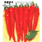 辛とうがらしげきから9cmポット苗...