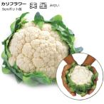 ミニカリフラワー美星みせい9cmポット苗