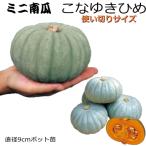 商品画像2