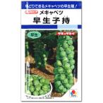 芽キャベツ 種子 早生子持 1.8ml キャベツ