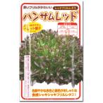  lettuce семена рукоятка Sam красный красный оборка lettuce 100 шарик 
