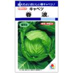 キャベツ 種子 春波 1.2ml