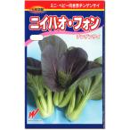 赤チンゲンサイ 種子 ニイハオフォン 715粒　チンゲン