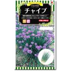 ハーブ 種子 チャイブ 1ml （ chives エゾネギ )