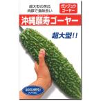 ゴーヤ 種子 沖縄願寿ゴーヤー 18粒 にがうり