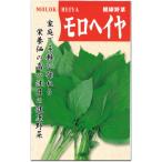 モロヘイヤ 種子 1.5ml