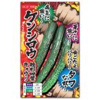 キュウリ 胡瓜 種子 ケンシロウ 17粒 きゅうり