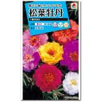 マツバボタン 種子 八重咲き混合 （育苗可能本数：お