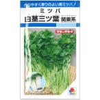 みつば 種子 白茎三ツ葉（関東系） 4ml