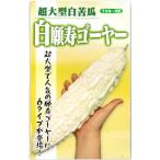 ゴーヤ 種子 白願寿 しろがんじゅ 10粒 にがうり