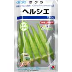 オクラ 種子 ヘルシエ 1000粒
