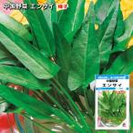  China овощи en носорог 13ml