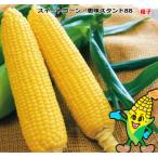 トウモロコシ 種子 スイートコーン 恵味スタンド88　2