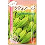 オクラ・ラヴィレージ 　種子 50粒