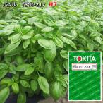  базилик семена TSGI-217 Basilico 200 шарик 