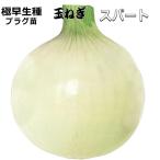  лук репчатый cell рассада s часть [. сырой ] 90шт.@tama лук-батун 