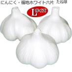  Fukuchi белый шесть одна сторона .. лампочка L 1kg чеснок 