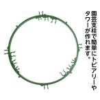 ダイムリング(直径32CM)　大