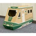 にゃん急エクスプレス KNE-GN