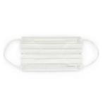 ディスポーザブルプリーツマスク　小さめサイズ　7枚入 20PN-7PS
