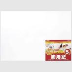 ナカバヤシ 画用紙 四ツ切 5枚束 SD-カ-102