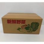 新鮮野菜ダンボール （小）