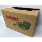 新鮮野菜ダンボール （大）