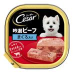 マースジャパン シーザー 吟選ビーフ まぐろ入り 100g