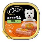 マースジャパン シーザー まろやかラム 野菜入り 100g