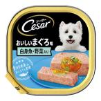 マースジャパン シーザー おいしいまぐろ味 白身魚・野菜入り 100g