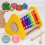 エドインター おもちゃ 楽器 かわいい 木製 木のおもちゃ 音が鳴る 知育 玩具 出産祝い 名入れ  森の音楽会