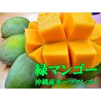  есть перевод ключ tsu манго Okinawa производство дом для белый коробка [ бесплатная доставка ] примерно 3kg(3~5 шт степень ) Okinawa префектура производство манго 