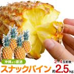 パイナップル スナックパイン 2.5kg