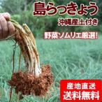  бесплатная доставка Okinawa производство остров rakkyou 1kg(500g×2 пачка )
