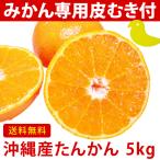 ショッピングわけアリ 沖縄 たんかん＼タンカン専用皮むき付／沖縄産 タンカン 5kg (贈答用：秀品) 送料無料 産地直送！沖縄オレンジ(沖縄みかん)