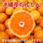 ショッピングデコポン 沖縄 たんかん＼タンカン専用皮むき付／沖縄産 タンカン 1kg 優品(お試し用) 送料無料 産地直送！沖縄オレンジ(沖縄みかん)