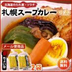 スープカレー　素　ソラチ　札幌スープカレーの素　10袋（10食分）　送料無料　メール便