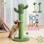 送料無料 爪とぎ ポール 麻縄 キャットタワー 据え置き 猫タワー 小型 コンパクト 猫のおもちゃ 麻紐 爪磨き 猫　猫用 ねこ 天然サイザル麻 カリカリ