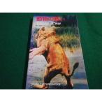 # животное. битва . Carolyn * балка балка Koga . дорога .. журавль книжный магазин #FAIM2023030601#