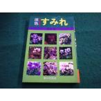 #. цвет sumire Suzuki . дом. свет ассоциация #FAIM2024101827#