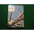 # префектура цветок префектура дерево сосна рисовое поле . работа цвет книги Hoikusha #FAIM2025032526#