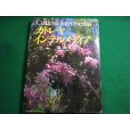 #katoreya* Intel носитель информации три . 2 . Япония телевизор радиовещание сеть #FAIM2025073119#