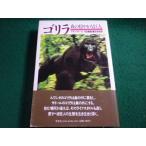# Gorilla лес. ..... человек Alain *g кукла река .. самец глициния . дешево сырой .. фирма #FAIM2026071306#