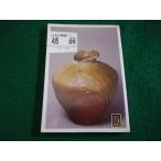 # Echizen японский керамика 10 Сугимото . цвет книги Hoikusha #FAIM2026082812#