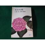 # небо. огонь стойка Yamate Kiichiro длина сборник повесть выбор сборник персик источник фирма #FASD2022122613#