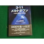 #3*11 melt down большой цунами .. грязный .. площадка из JVJA фотоальбом . способ фирма #FAUB2023102707#